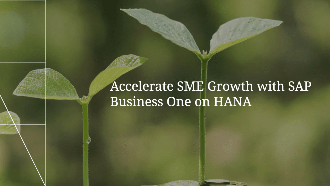 Accelerate SME Growth with SAP Business One on HANA